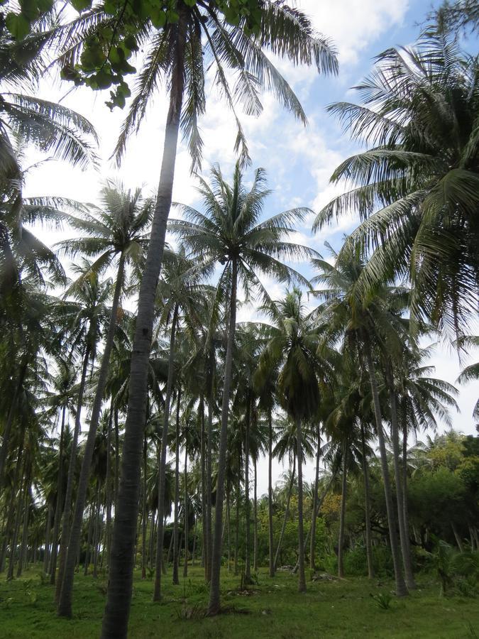 Smera Grand Maamigili Exterior foto